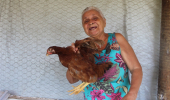 Criação de galinhas impulsiona segurança alimentar e geração de renda em Irará