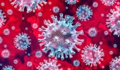 111 novos casos de coronavírus em Feira só nesta terça (2/6)
