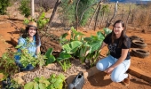 Agricultores de Belo Campo passam a produzir e comercializar alimentos saudáveis a partir da assistência técnica