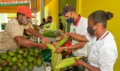 Agricultura familiar celebra Dia do Feirante com ações para melhorar a comercialização de produtos