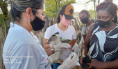Comunidade quilombola de Bom Jesus da Lapa é capacitada em manejo de galinhas caipiras