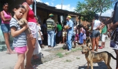 FEIRA DE SANTANA: Vacinação contra raiva animal nos bairros começa neste sábado
