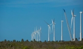 Governo federal pretende investir R$ 50 bilhões em energia renovável neste ano