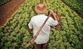 Governo entrega 559 Cadastros Ambientais Rurais para Agricultores Familiares de Itacaré