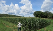  Alta tecnologia aplicada na Agricultura Familiar promete aumentar em até cinco vezes a produtividade em pequenas áreas