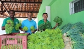 Programa de Aquisição de Alimentos destina mais de R$ 6 milhões para segurança alimentar na Bahia