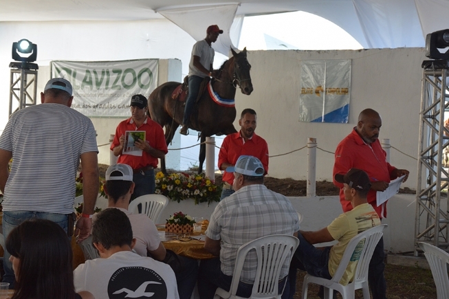  Expofeira 2019: Leilão mostra força do cavalo Campolina 