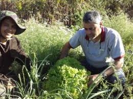 Agricultoras familiares do Baixo Sul firmam parceria com fabricante de pneus para produção de biojoias