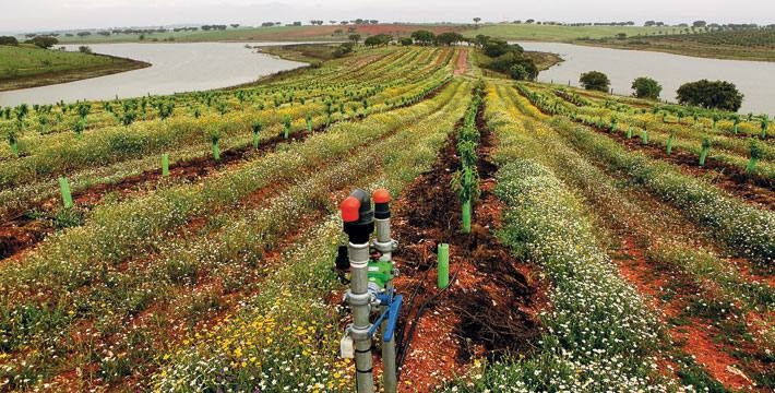 Agricultores familiares de Pernambuco conhecem experiência de cooperativa de café do sudoeste baiano