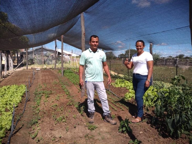 Agricultores familiares do Território Velho Chico celebram resultados do serviço de assistência técnica e extensão rural