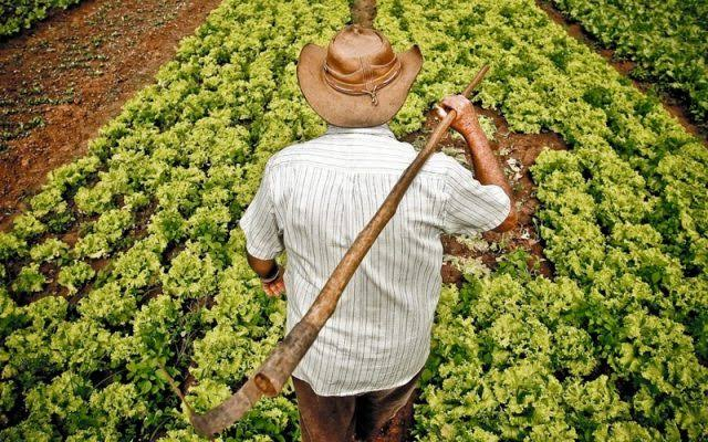 Agricultura familiar tem potencial como agronegócio, diz Angelo