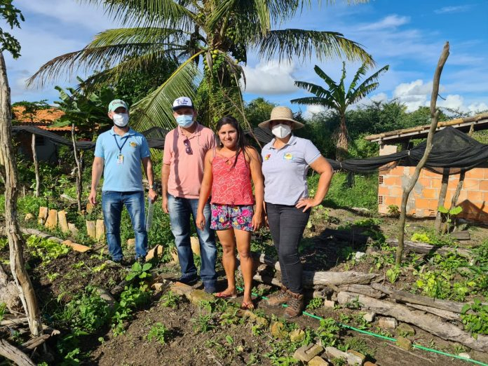 Armazenamento de água para produção garante segurança alimentar e renda para famílias do semiárido