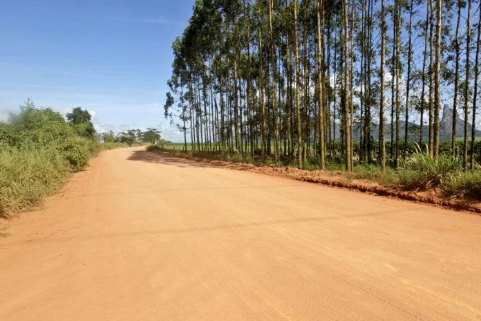 Autorizada obra de pavimentação da BA-284, entre Itamaraju e Jucuruçu