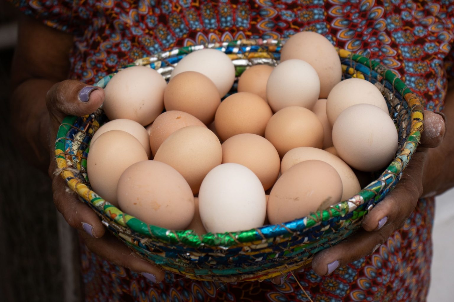Bahia bate recorde na produção de ovos: Investimentos da CAR impulsionam resultados