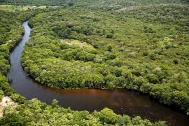 Bahia cria mais sete RPPNs e dobra área de reserva particular no estado