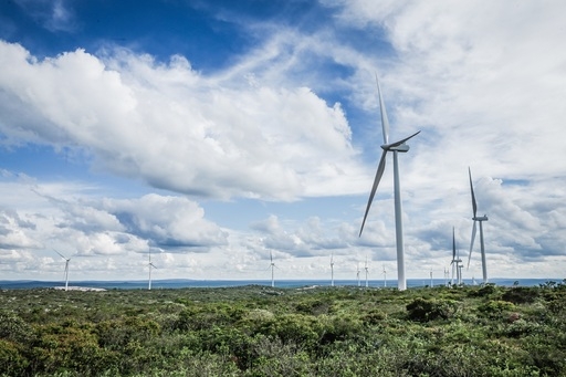 Bahia gerou mais de 30% da energia eólica e solar do país em 2019