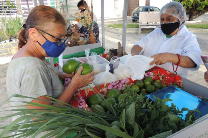Boa Nova passa a contar com feira agroecológica aos sábados