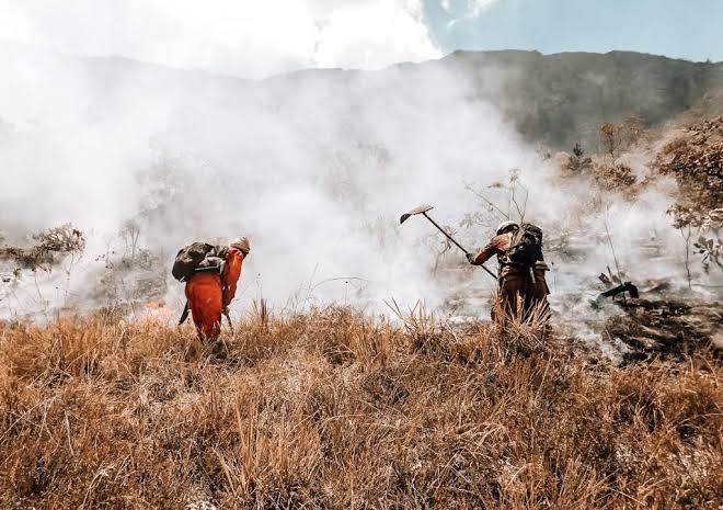 Bombeiros militares controlam incêndio florestal na área de proteção ambiental na Serra do Barbado