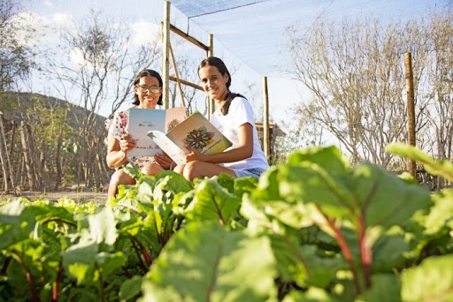 Cadernetas agroecológicas contribuem para autonomia de agricultoras familiares do Semiárido baiano