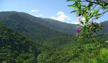 Câmara aprova novas regras para o licenciamento ambiental