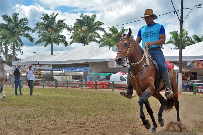 Cavalo Mangalarga avaliado em R$ 100 mil é destaque no primeiro dia de competições da raça