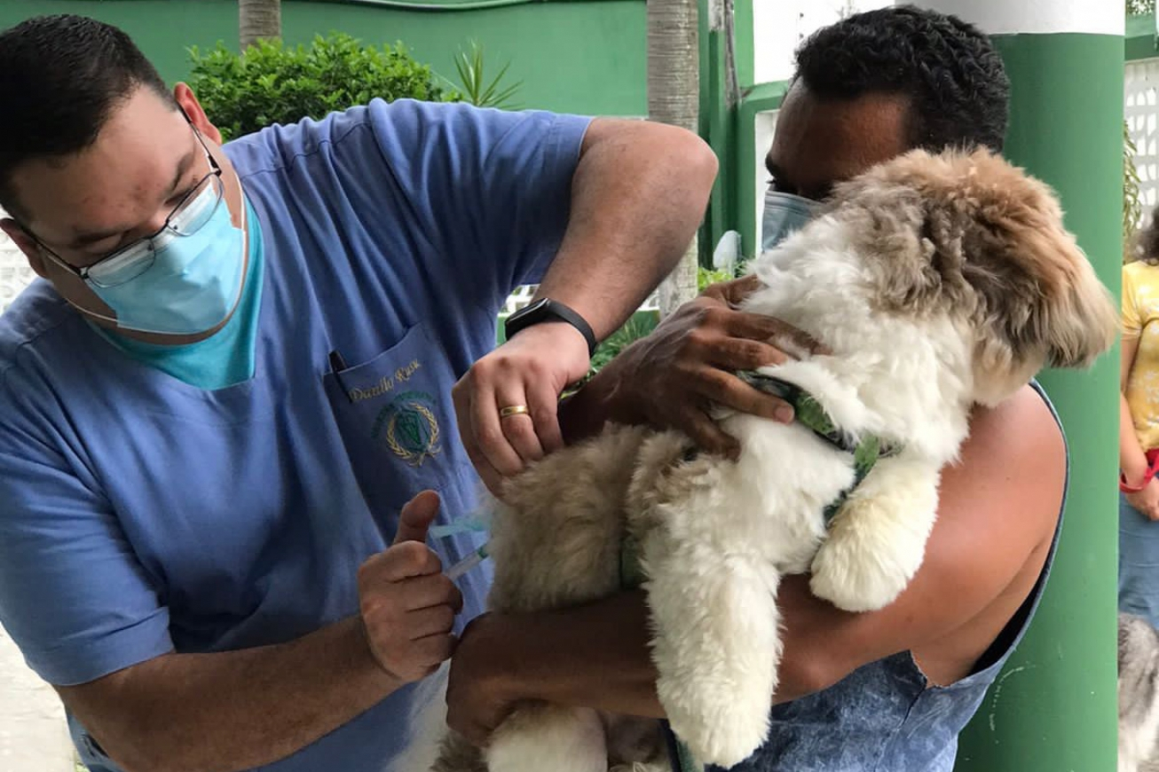 Cerca de 15 mil cães e gatos foram vacinados contra a raiva em Feira