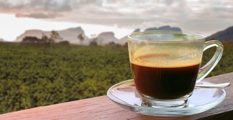 Chapada: Piatã se destaca como referência mundial em cafés de qualidade; veja vídeo sobre o assunto