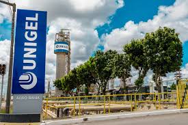 Com investimento total de US$ 1,5 bilhão, Bahia terá primeiro projeto de hidrogênio verde em escala industrial no Brasil