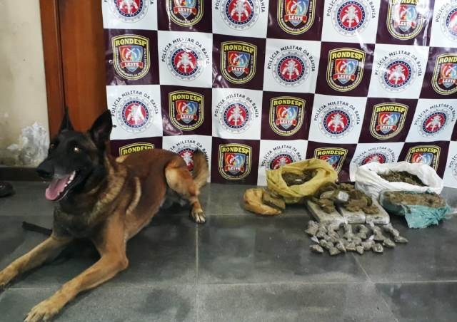 Com ajuda de cão farejador, Rondesp apreende droga enterrada; suspeito de tráfico morre em confronto