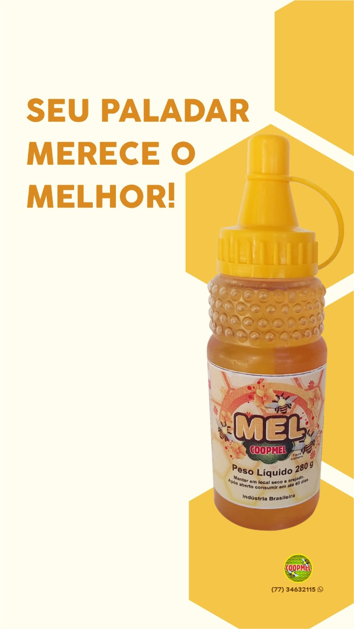 Cooperativa tem expectativa de aumentar produção de mel em 100% 