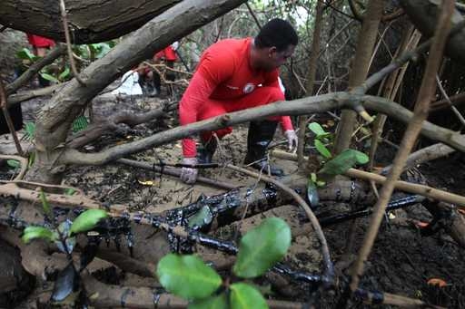Corpo de Bombeiros da Bahia já retirou 40 toneladas de óleo no Litoral Norte 