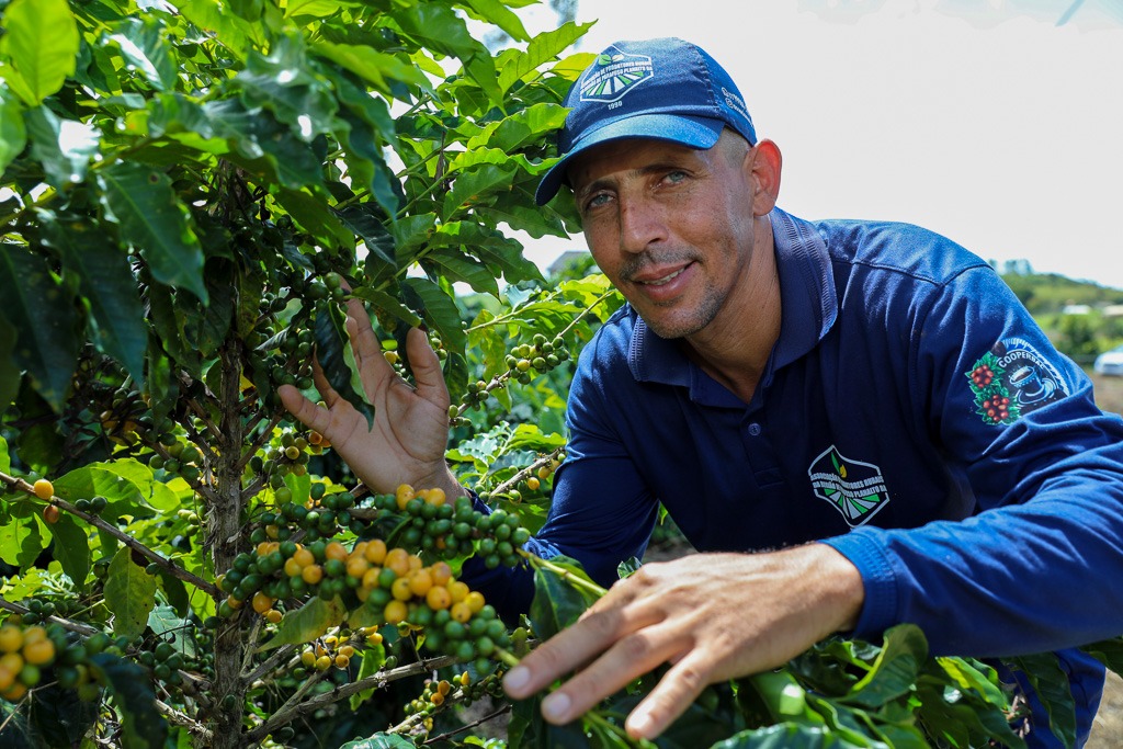 Dia Mundial do Café: investimentos na produção geram impactos positivos na qualidade do café e na economia da Bahia