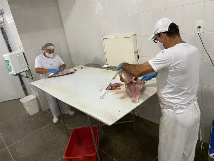Dumar investe R$ 1 milhão e amplia produção de pescados em Ilhéus
