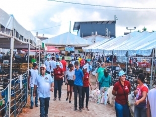 ExpoSerrinha 2019 é um sucesso e movimenta mais de 1 milhão de reais