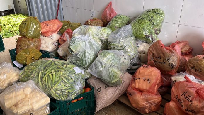 Famílias agricultoras do Recôncavo Baiano entregam produtos da agricultura familiar para alimentação escolar