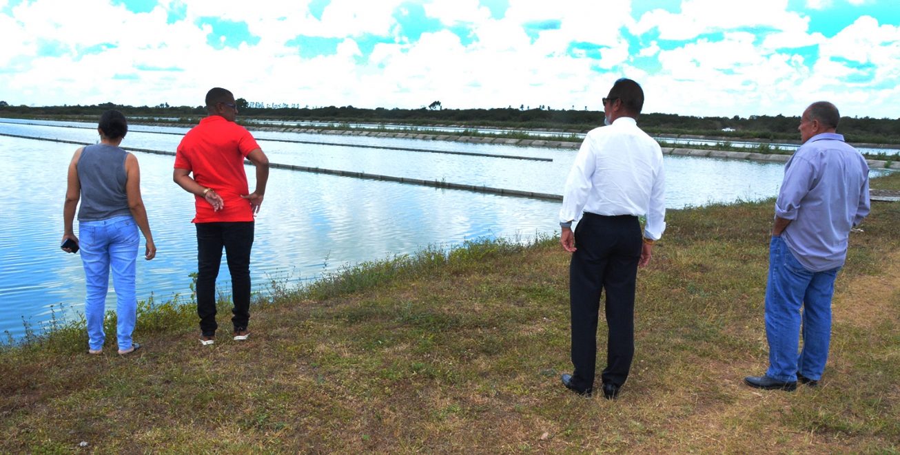 FEIRA DE SANTANA: Agência Reguladora apura denúncia de lançamento de esgoto no rio Subaé