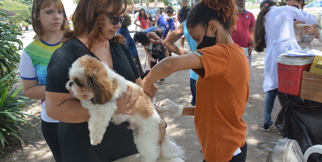 FEIRA DE SANTANA: Mais quatro bairros com vacinação de cães e gatos nesta semana