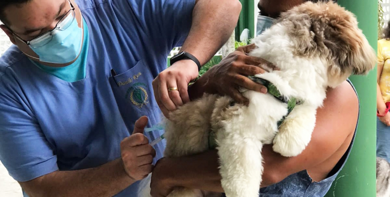 FEIRA DE SANTANA: Prefeitura inicia vacinação de cães e gatos contra raiva nas unidades de saúde