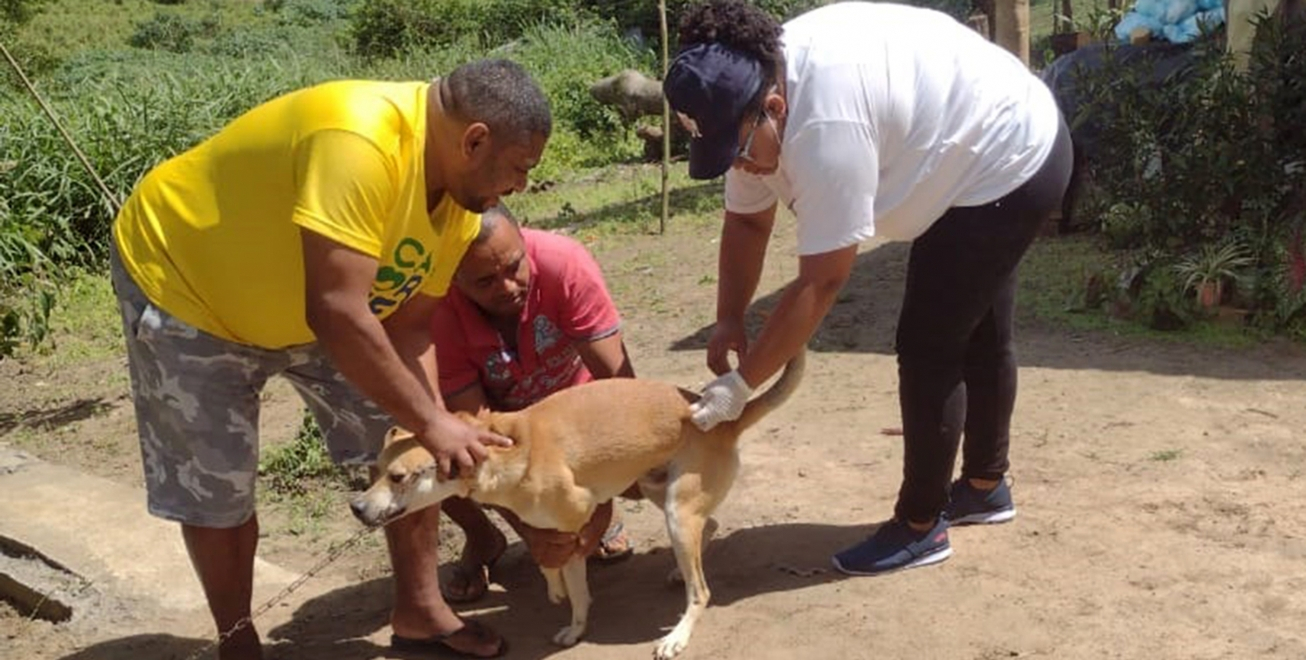 FEIRA DE SANTANA: Vacinação de cães e gatos contra a raiva em mais oito bairros neste sábado