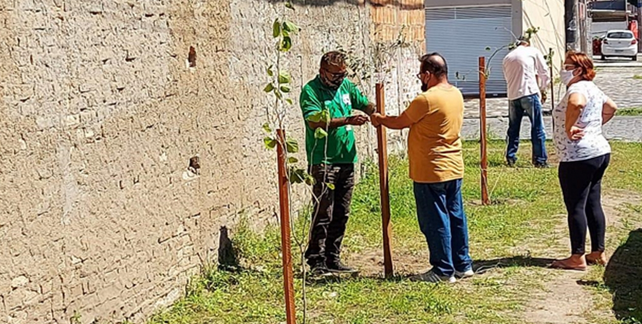 FEIRA DE SANTANA: Prefeitura promove plantio de árvores frutíferas em quintais e passeios