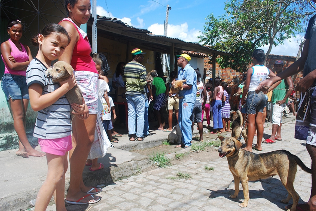 FEIRA DE SANTANA: Vacinação contra raiva animal nos bairros começa neste sábado