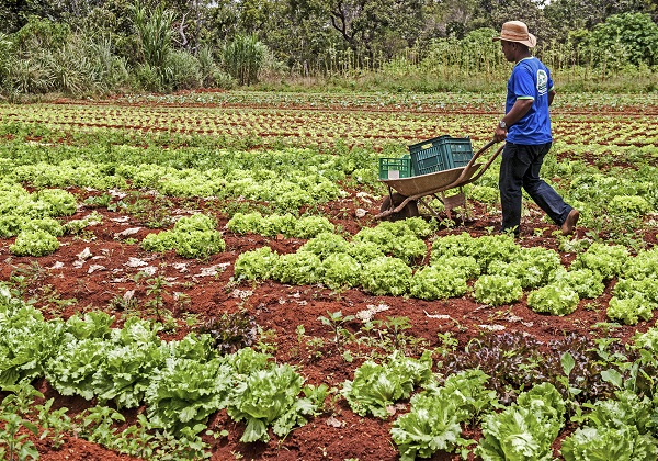 Governo do Estado investe mais R$ 751 mil na agricultura familiar de Baianópolis