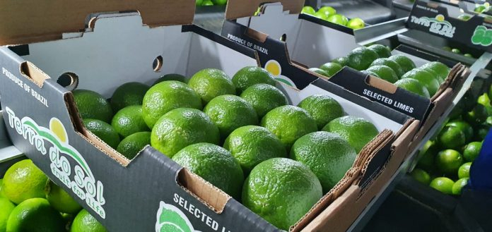 Governo do Estado aposta em vocação frutícola de Itaberaba