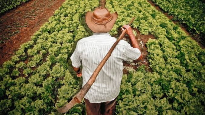 Governo entrega 559 Cadastros Ambientais Rurais para Agricultores Familiares de Itacaré