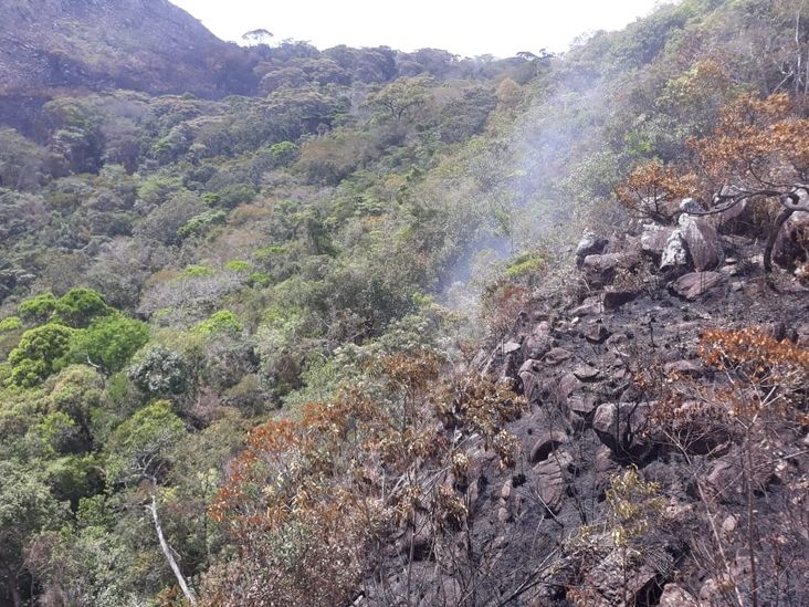 Incêndios florestais são controlados