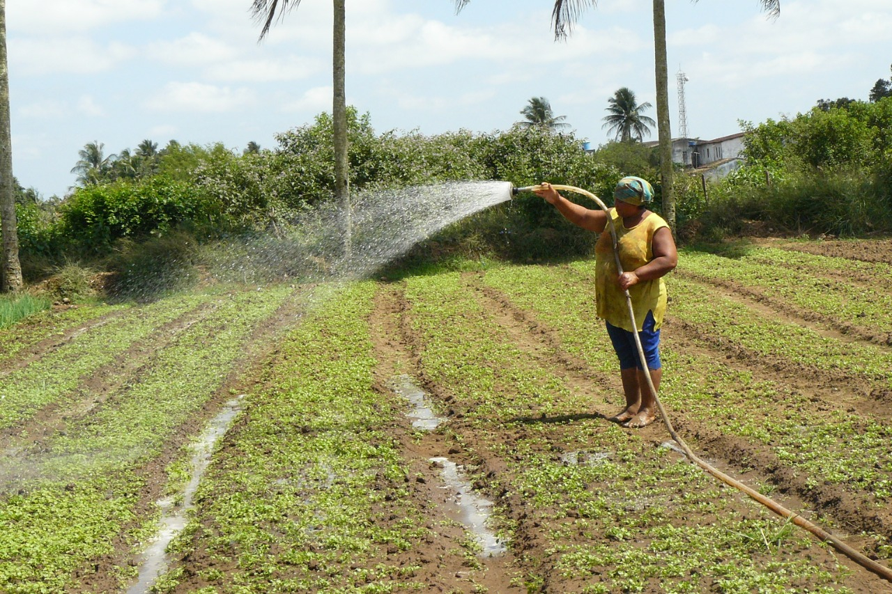 Mais de 169 mil agricultores baianos contam com o benefício do Garantia-Safra