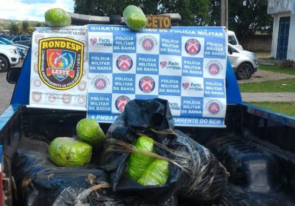 Meia tonelada de maconha é apreendida em ação conjunta da PM