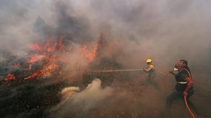 Ministro do Meio Ambiente diz que seca e calor ampliam queimadas