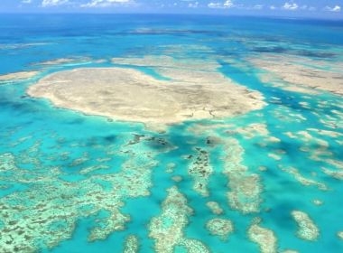 Morte de corais em massa ameaça vida marinha na Bahia