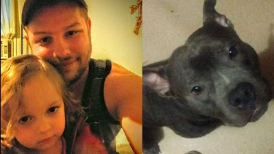 Menina de 3 anos morre ao ser atacada por pit bull da família